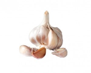 garlic